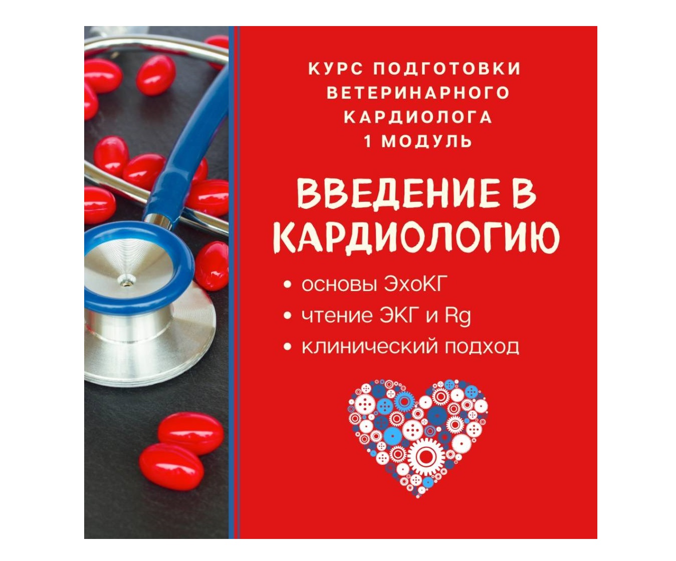 Кардиология собак и кошек: базовый уровень